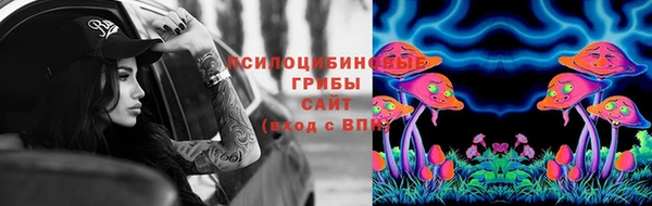 бошки Чекалин