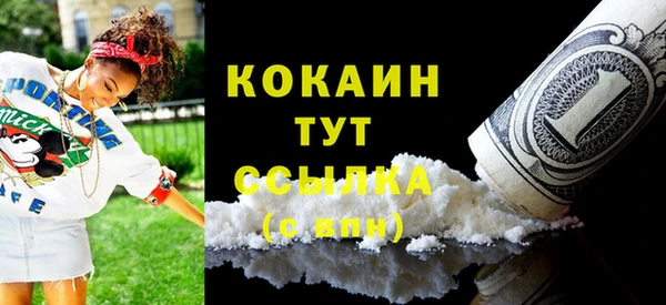 твердый Каменка