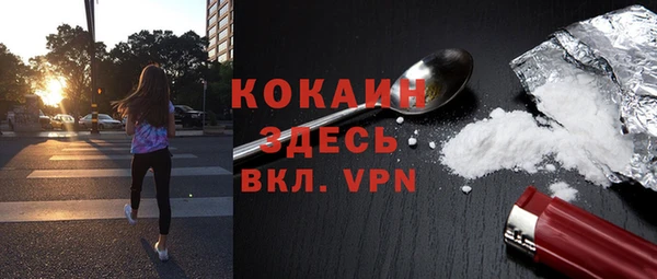 твердый Каменка