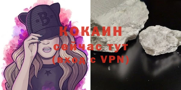 твердый Каменка