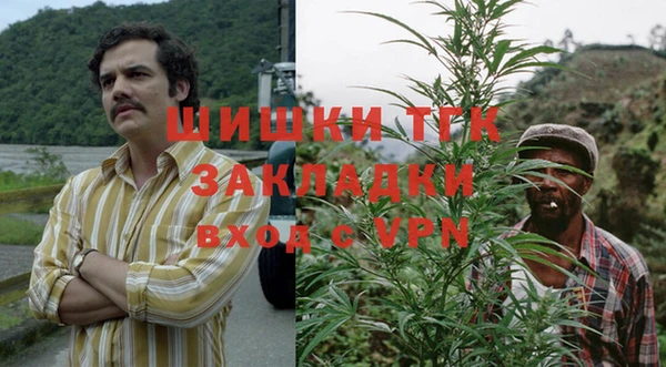 гидра Зеленокумск