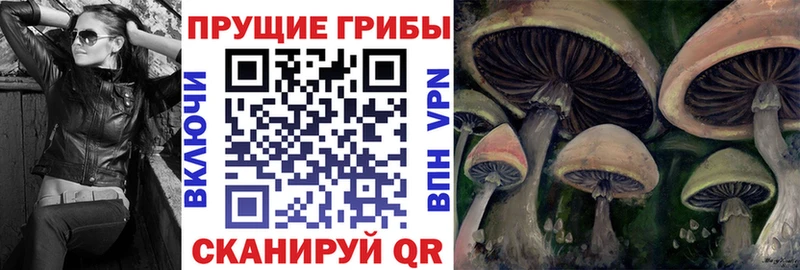 Псилоцибиновые грибы Magic Shrooms  Купить где  Коммунар 